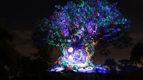 Walt Disney World Animal Kingdom Tree of Life Christmas Projection Show