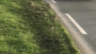 NEW - Dutch truckers drive in a convoy through Friesland, Netherlands