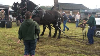 Moving Truck With Two Horsepower