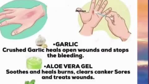 Wound Healing foods - magical foods that heal | health and wellness videos | healthy eating