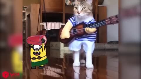 Little Kitten vs Minions Animation , Minions in Real Life Funniest Cats And Dogs Videos