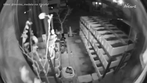 Security footage shows home shaking in Miyagi, Japan during 7.3-magnitude earthq