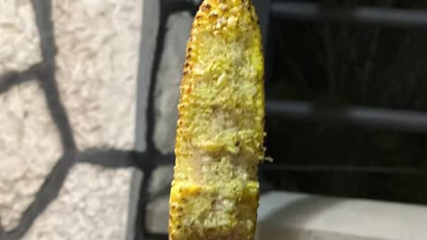 Yummy yummy 🤤 #corn