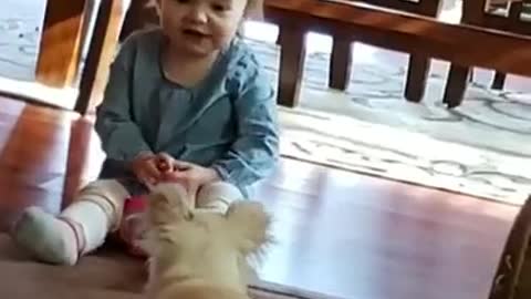 funny video Funny video baby girl and the dog #shorts​