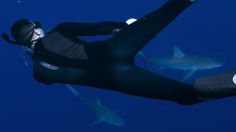 Scuba Diving with shark