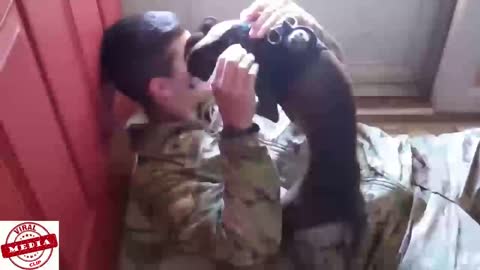 Dogs Welcoming Soldiers Home Compilation Part_12
