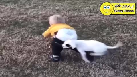 Animals funny videos with babies 😁😁