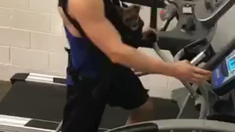 Guy Brought His Best Buddy To The Gym To Work Out Together