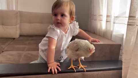 Funny_reaction_of_a_cute_baby_to_a_chick