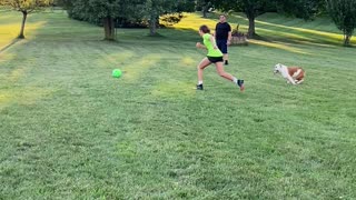 Playing Pup Gets Caught in Net