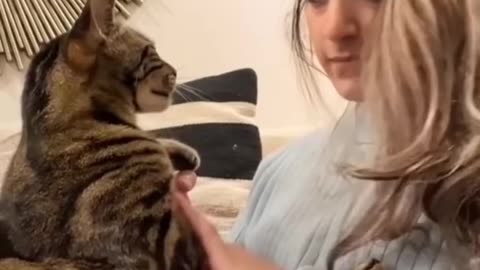 WATCH_HOW_CLINGY_MY_CAT_BECOMES…🥰_#shorts(480p)