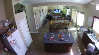 Camera Catches Mom Saving Son