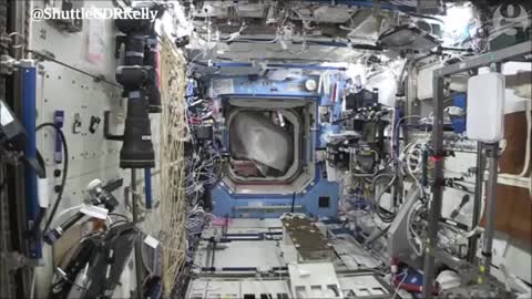 'Gorilla' chases astronaut Tim Peake around International Space Station