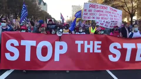 Stop the Steal Rally in D.C.11/14/2020-1