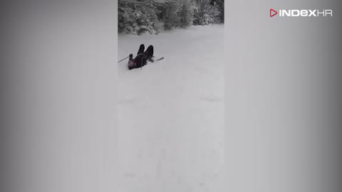 Dalmatinac na snijegu: skijanje na leđima