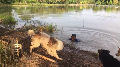 Dog Owner Plays Prank On Furry Friends