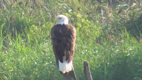 280 Toussaint Wildlife - Oak Harbor Ohio - Any Closer It Will Be On My Arm