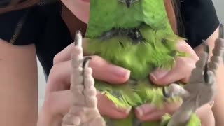 Parrot Is Super Excited to Play