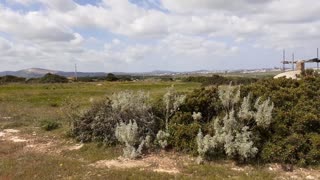 Walking in the green Wind sound