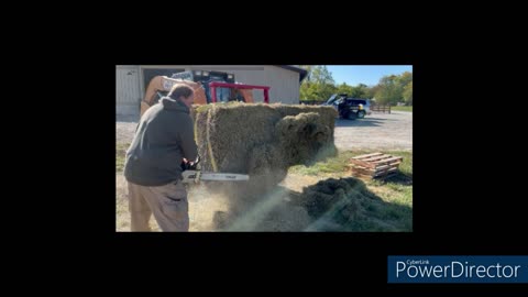 Chainsaw hay bale cutting