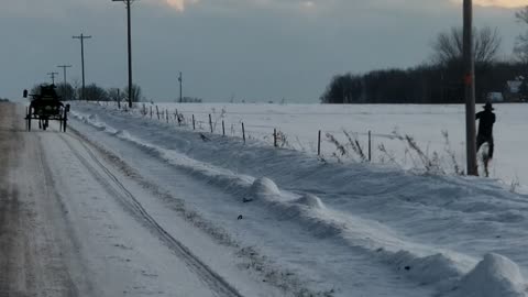 Amish Man Skis Behind Horse Drawn Wagon