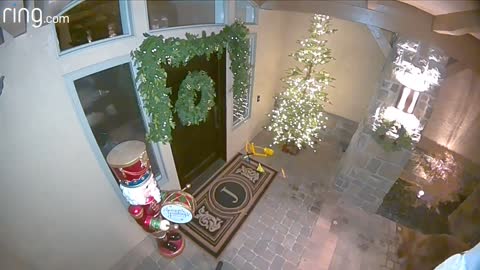 Curious Package Thief Get's Seen Taking Present Via Cam