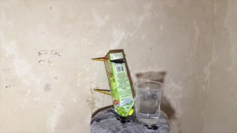 Crossbow Shooting in a Glass of Water (SLOW MO)