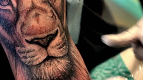 tattooing a lion