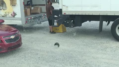 Man Carelessly Tosses Packages onto Truck