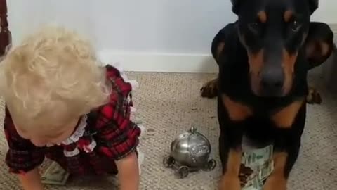 Baby lawfully pays out loan to dog