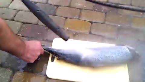 How to clean fish remove scales in seconds - pressure washer