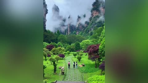 Birds singing at Avatar mountain - Nature sound