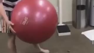 Fitness Ball Fun