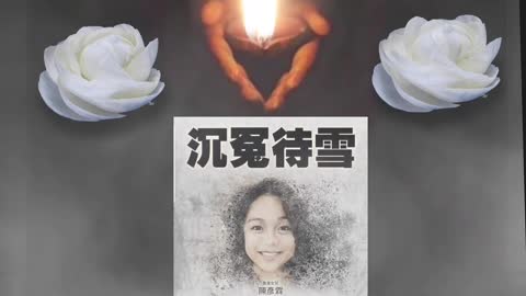 沉冤待雪 - 香港女兒 陳彥霖 2004-2019