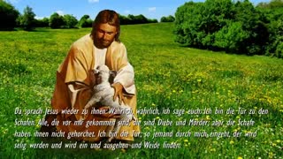 Ich bin der gute Hirte & Meine Schafe kennen Meine Stimme ❤️ Jesus erläutert Johannes 101-16