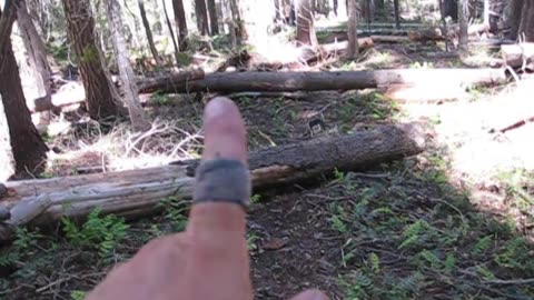 Creative Trail Clearing Part 1