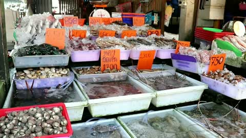 Rawai Fish Market / Phuket