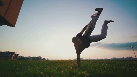 Capoeira The Dance of Survival