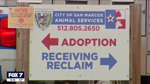 Santa Paws event raises funds, awareness for San Marcos animal shelter