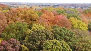 Michigan Fall Colors from a Drone