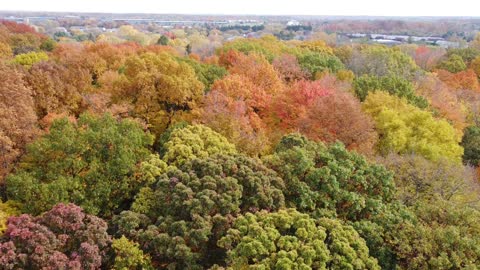 Michigan Fall Colors from a Drone