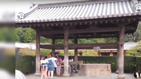 Todaiji Temple Japan Tour