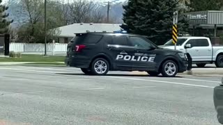 Utah: West Jordan police helps ducks cross the street.