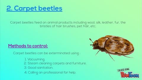 Different types of Pests and their Extermination Methods