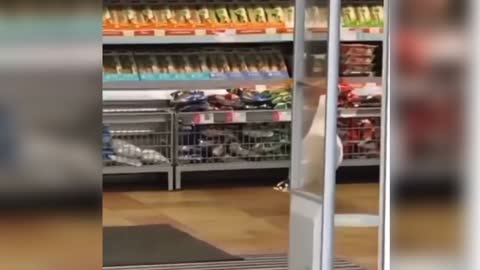 This Bird is going for shopping 😂 | Shopaholic Bird |#smartbird #funnybirds #best_ever