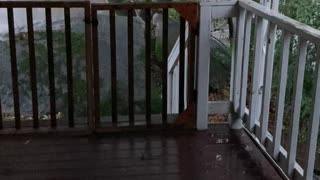 Downpour Here in Nor Cal