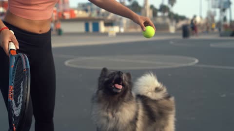 A woman playing with her cute and intelligent dog