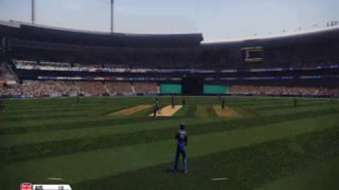 Australia 3 runs 6 wicket then Australia win(Don Bradan Cricket 2014)