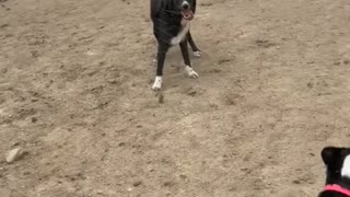 High Winds Kick Up Dust on Colorado Ranch