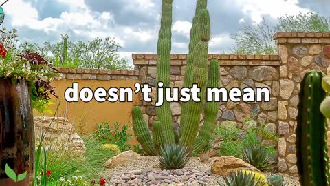 Drought Tolerant Plants For Full Sun (Perfect for Xeriscape Landscaping!)